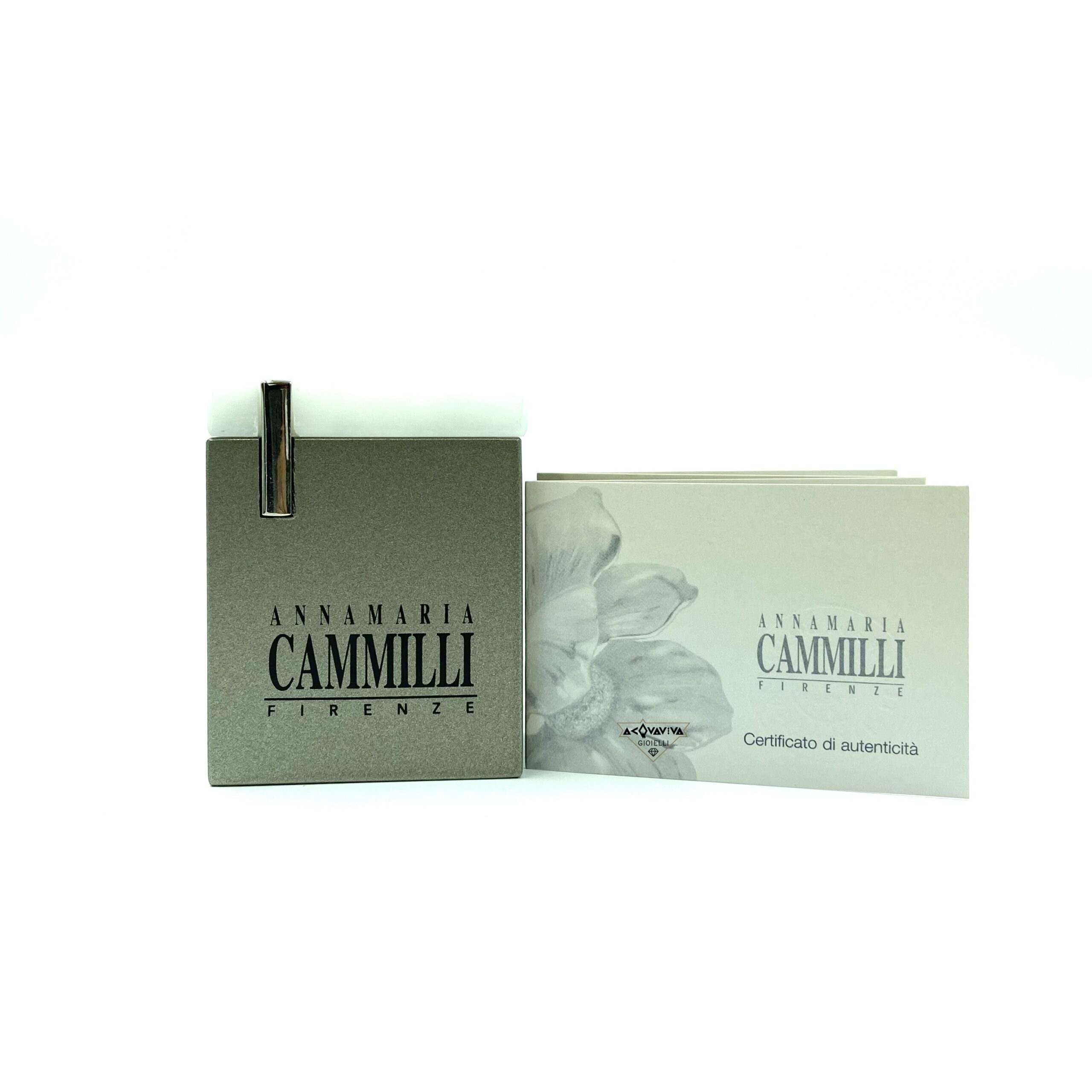 Annamaria cammilli scatola A scaled