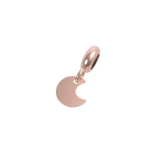 Inserto argento rerum 26033