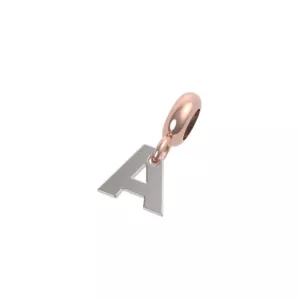 Inserto argento rerum 26038