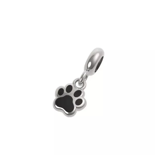 Inserto argento rerum 26071